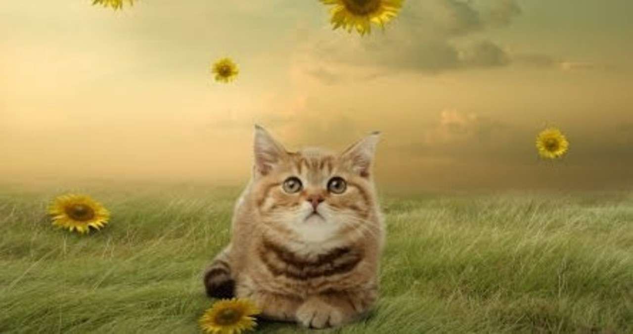 女だけど女が苦手 女の自分も苦手 花留さん Note