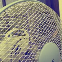 Snsの有名人アイコンって大丈夫 3つの視点から考えてみた 一本松 Note Snsの有名人アイコンって大丈夫 3つの視点から考えてみた 一本松 Note