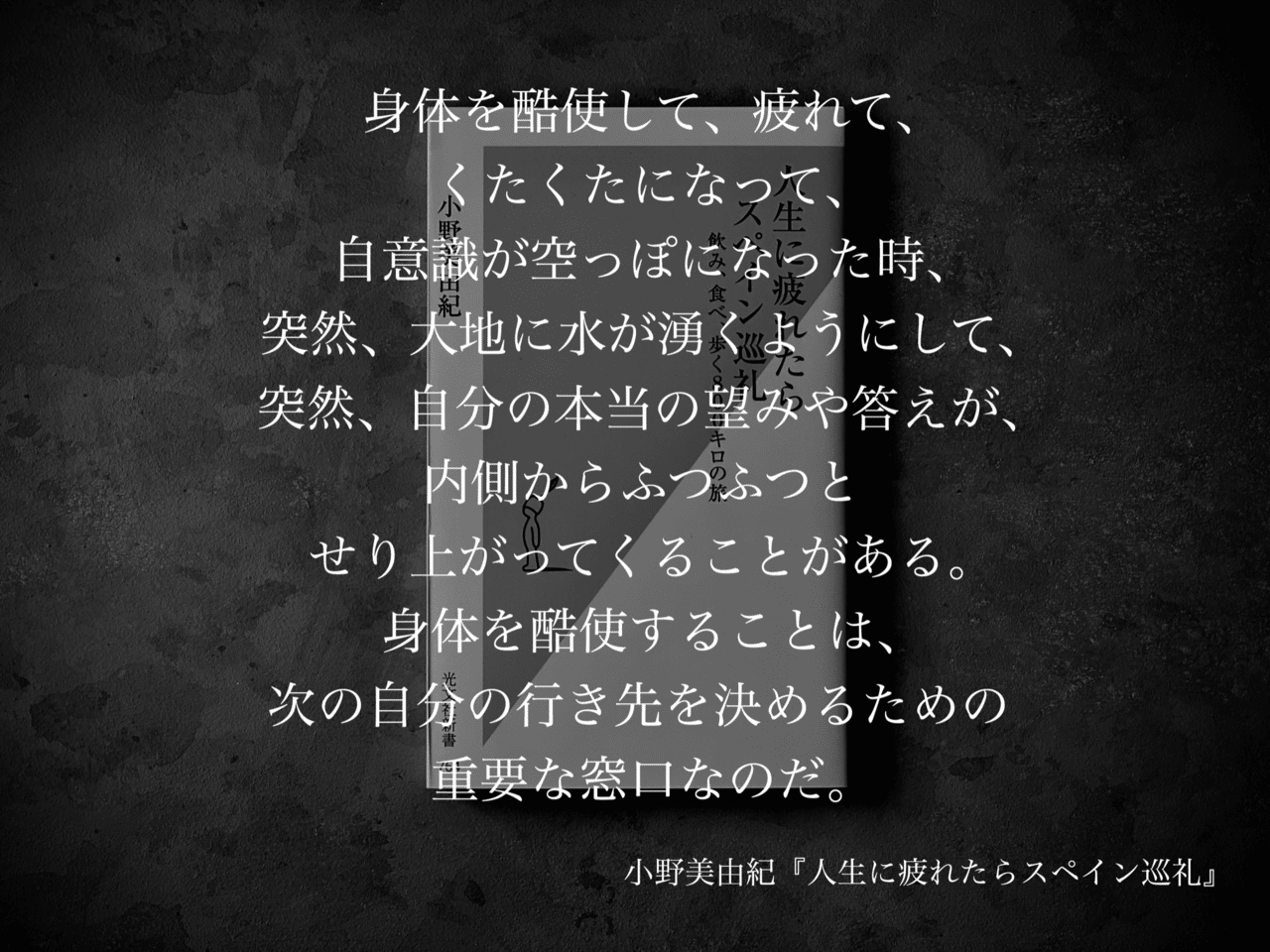名言集 光文社新書の コトバのチカラ Vol 21 光文社新書 名言集 光文社新書の コトバのチカラ Vol 21 光文社新書