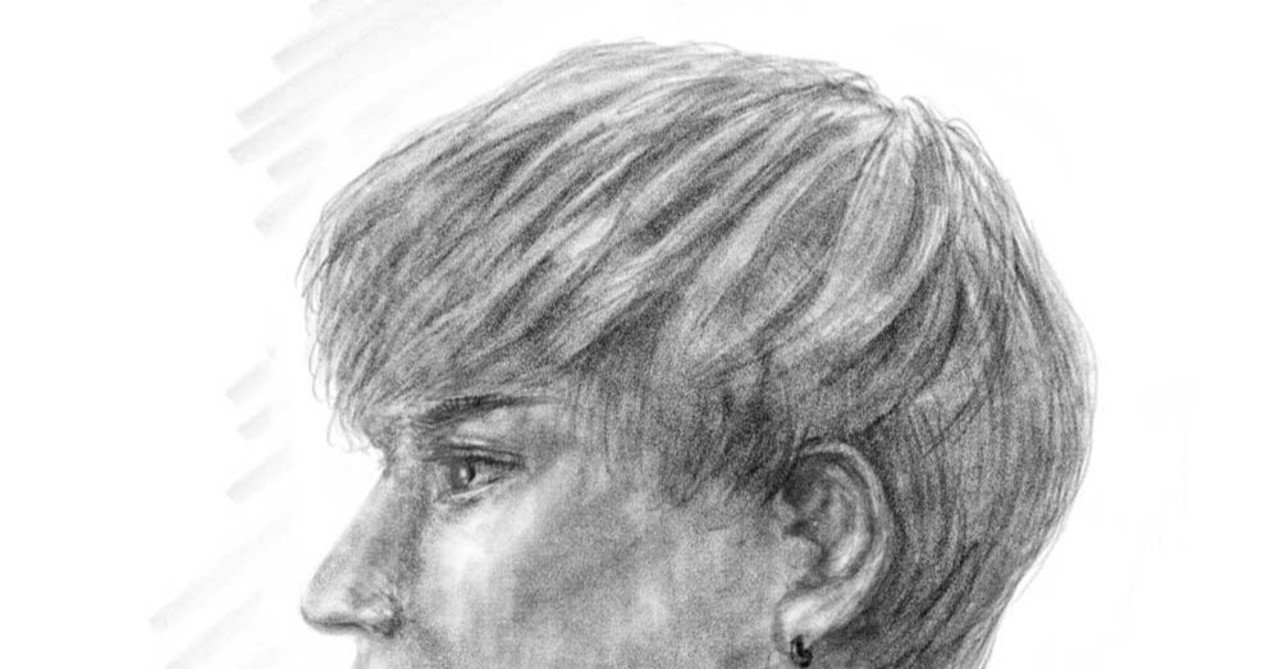 Adobefrescoで髪型を練習するの巻き 髪型大事 たからにゃ イラスト Note