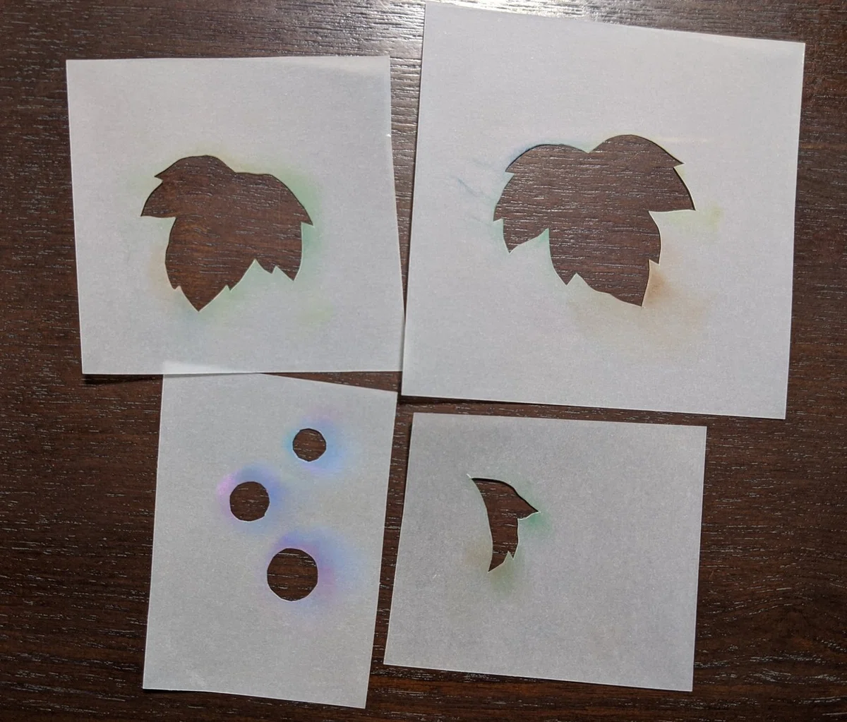 [Video] How to Draw Wild Grapes｜成澤まり⭐初心者向けパステルアートの先生