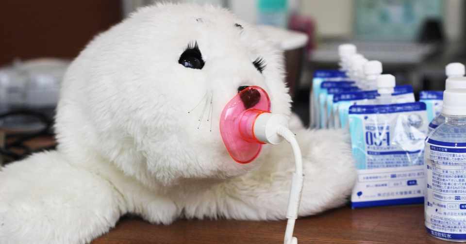 院内勉強会 日本の認知症施策 振り返ってみましょう 介護ロボットパロちゃんも紹介 のうと医療専門学校 Note