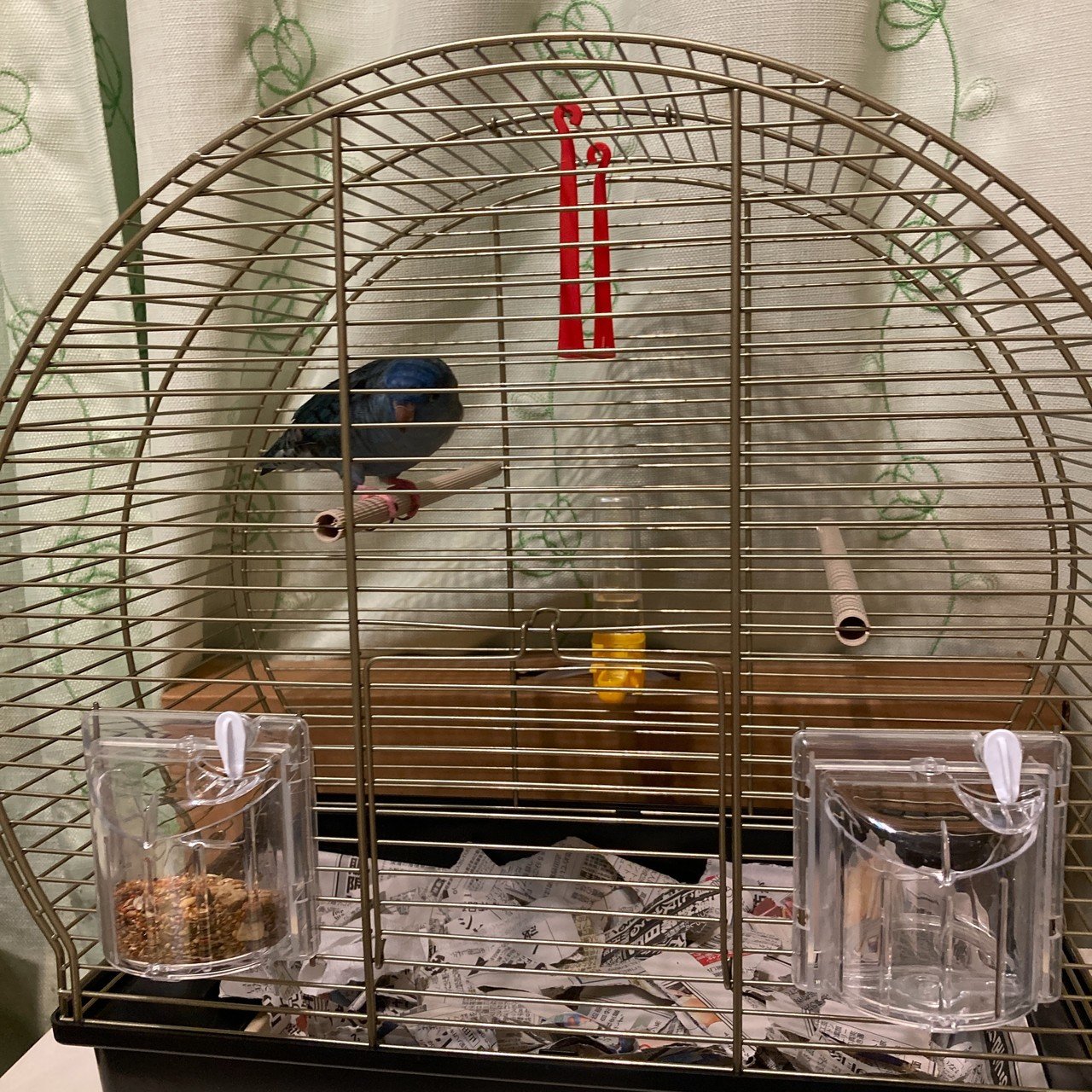 Mammy様の鳥かご☆ 出逢う