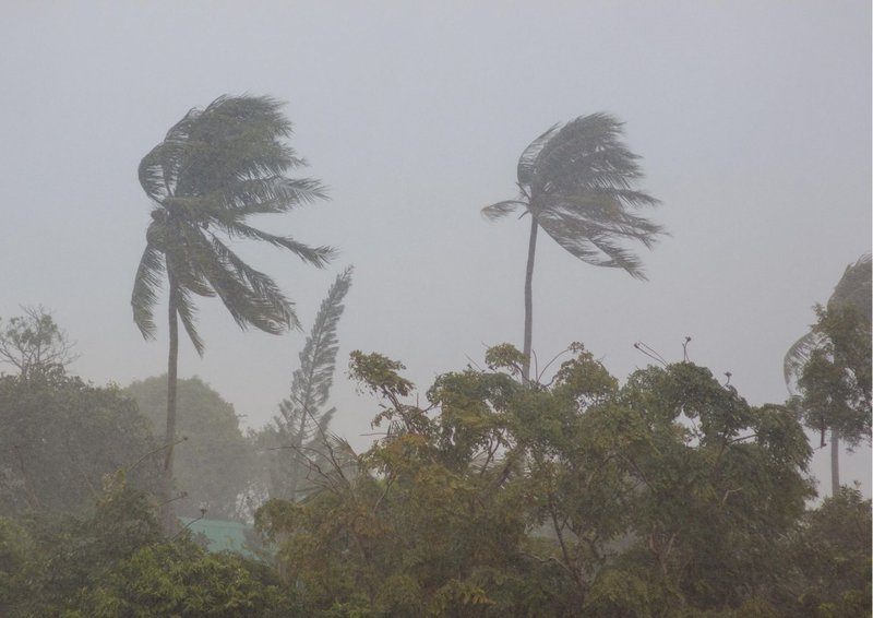 台風