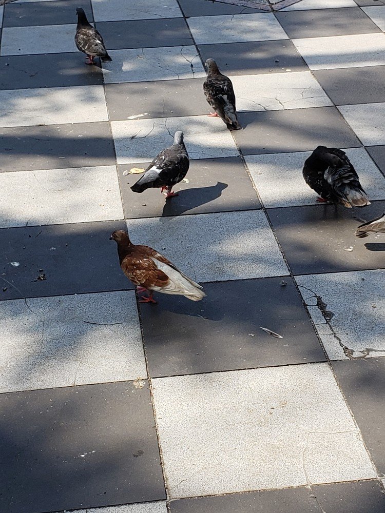 鳩サブレー の新着タグ記事一覧 Note つくる つながる とどける 鳩サブレー の新着タグ記事一覧 Note つくる つながる とどける