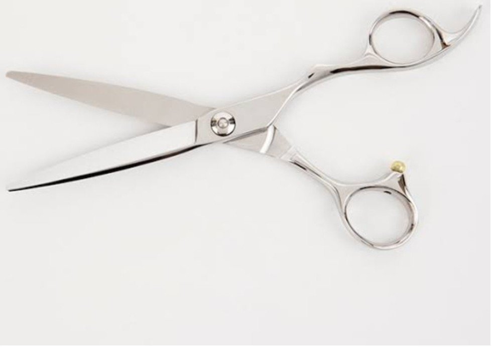 ハサミ ハサミのかたちと刃のかたちで自分にあうハサミを 池田わたる 美容師のためのマインドセット Note