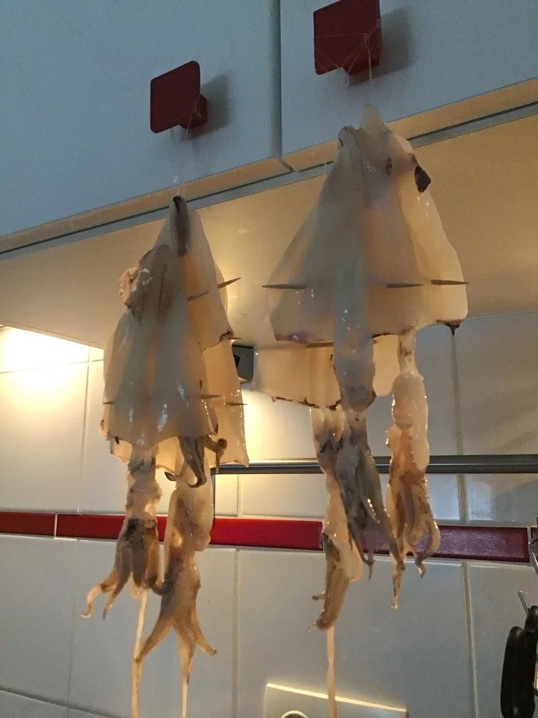 画像13