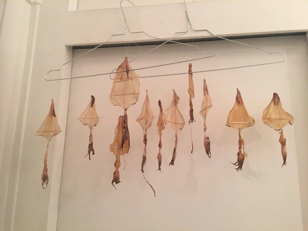 画像16