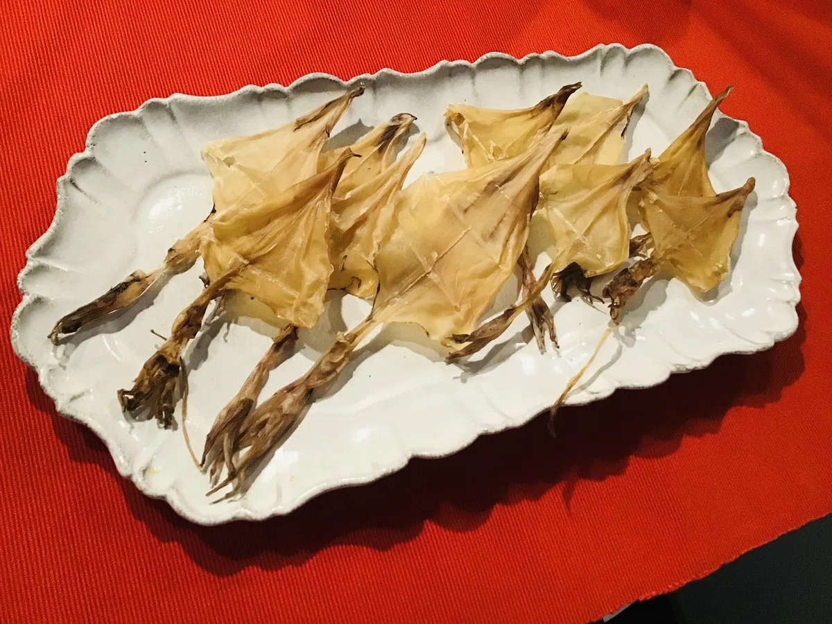 画像19