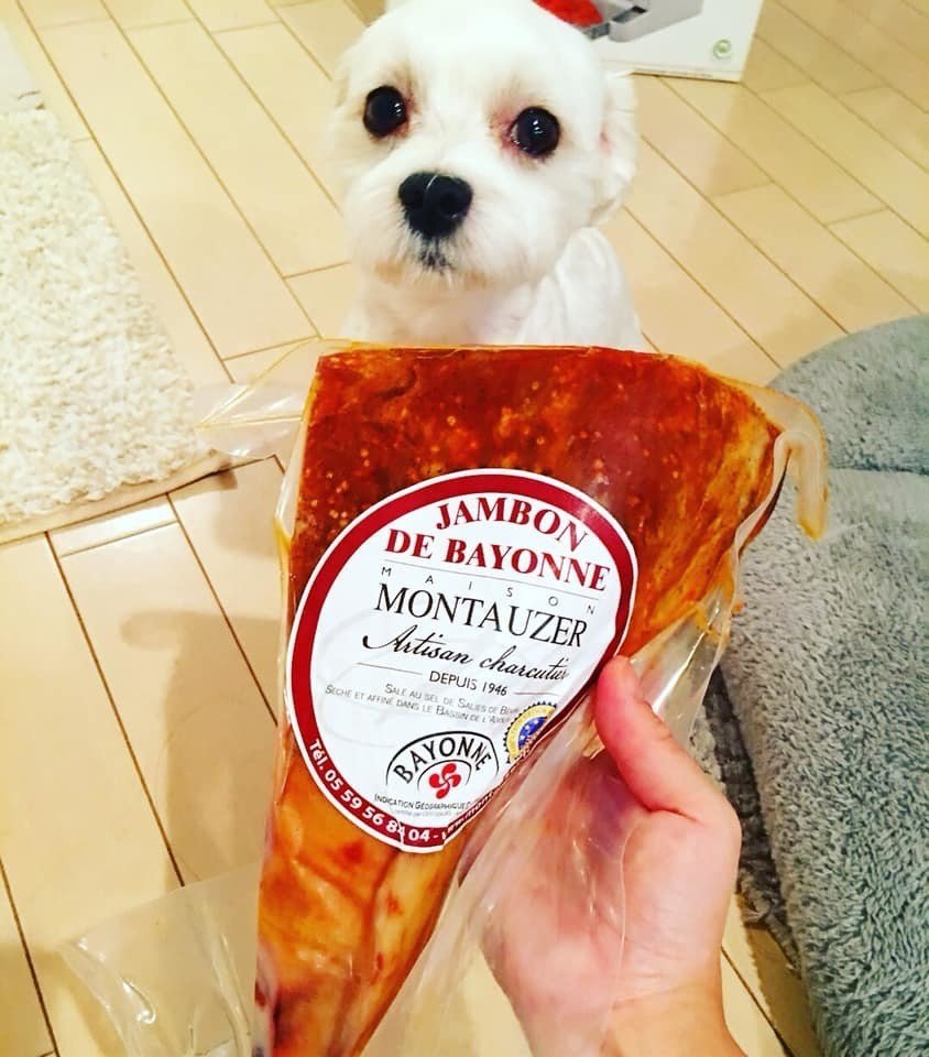 パリの青空を イカは泳ぐ 飲兵衛による 夏の終わりの自由研究 ユイじょり Note