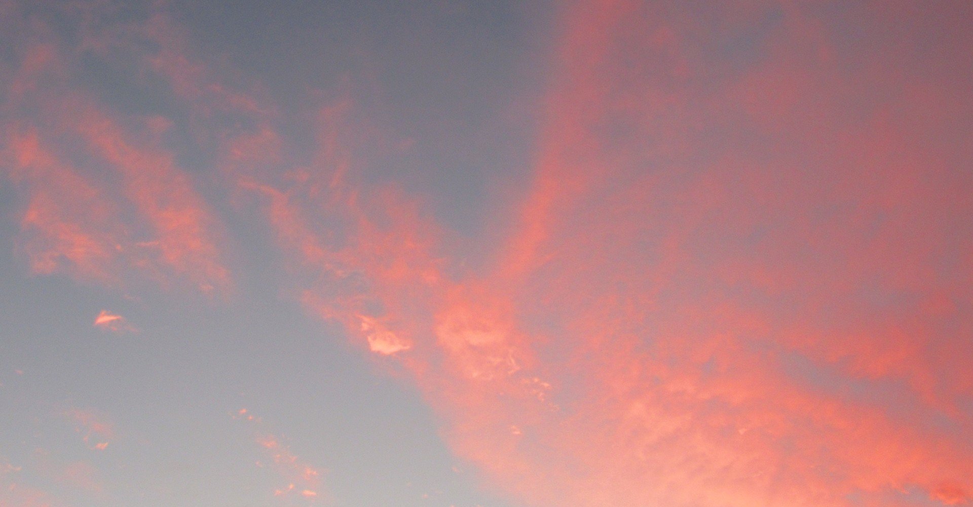 すみずみまで目を凝らして 東田直樹 ひがしだなおき Note すみずみまで目を凝らして 東田直樹 ひがしだなおき Note