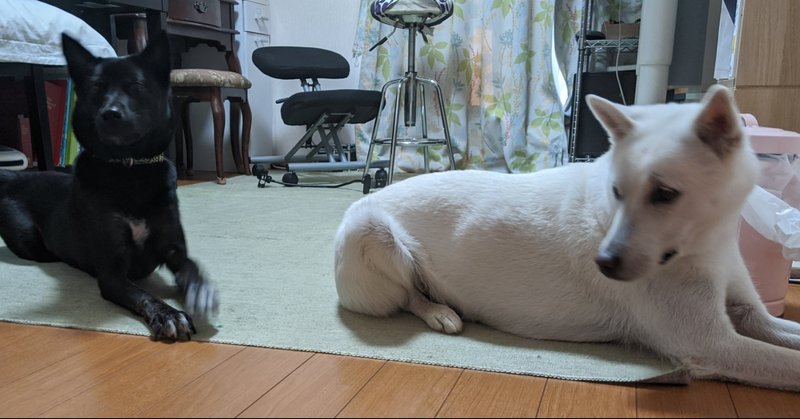 ダニ退治 Kickno Note