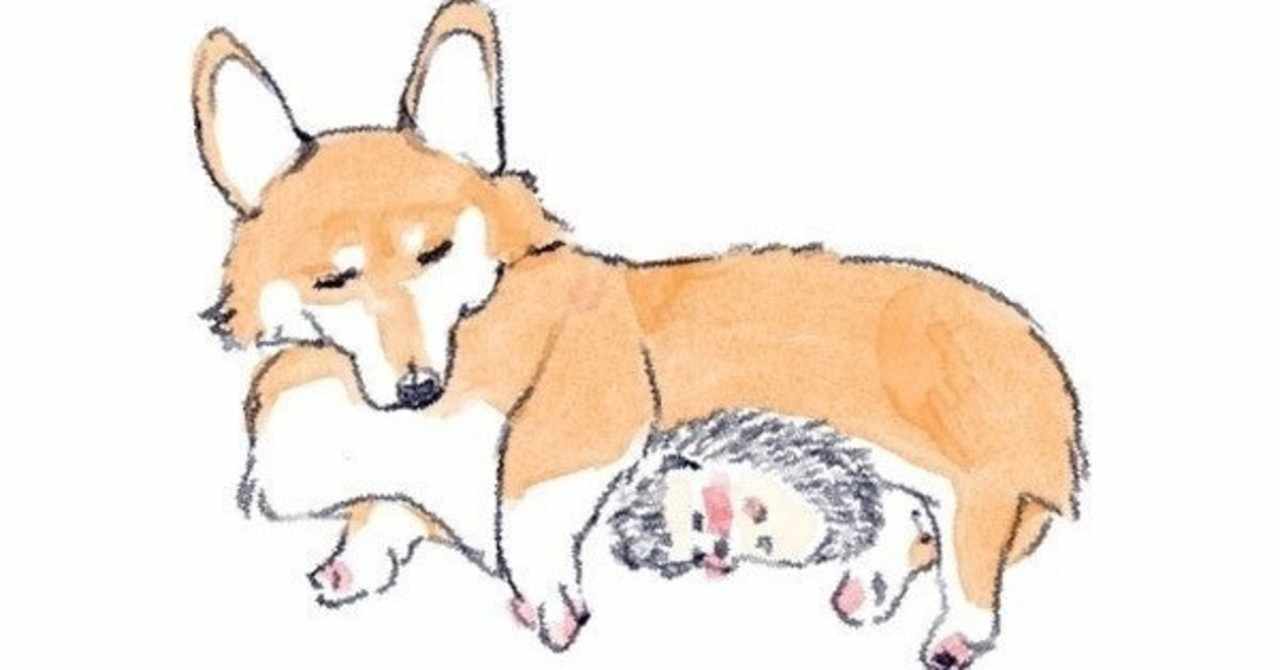 浅山しおん イラストレーター Note