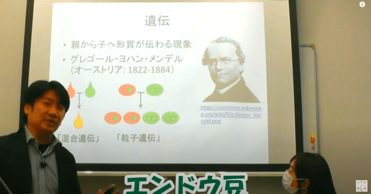 メンデル の新着タグ記事一覧 Note つくる つながる とどける