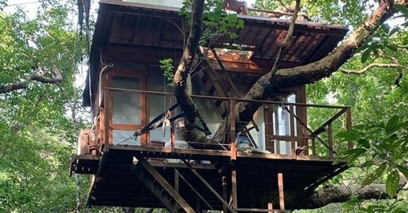 沖縄の開業前 ツリーハウス に世界中のインスタグラマーが注目 デジタルグループが関与する理由とは 鉢嶺登 デジタルホールディングス 創業者兼代表 Note
