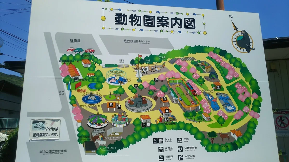 画像1