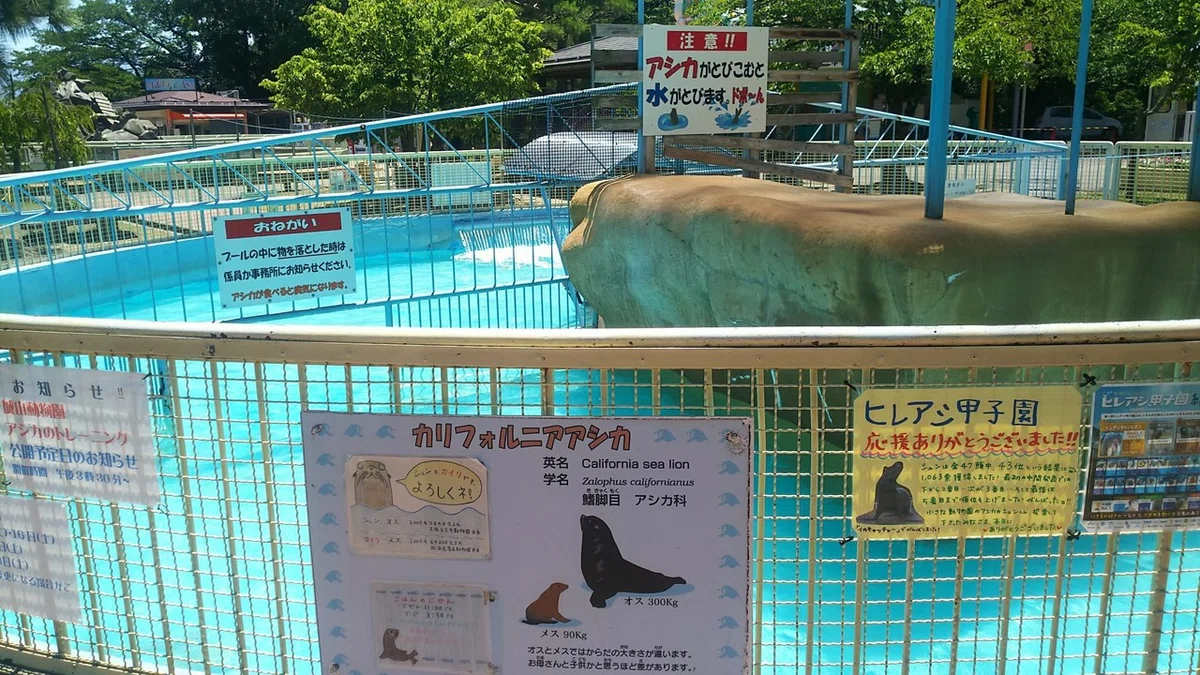 画像2