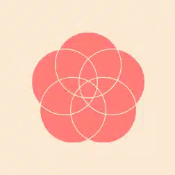 梅小路ハチ