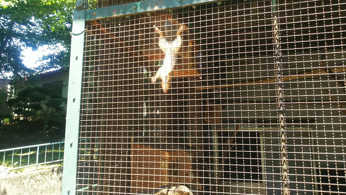 画像6