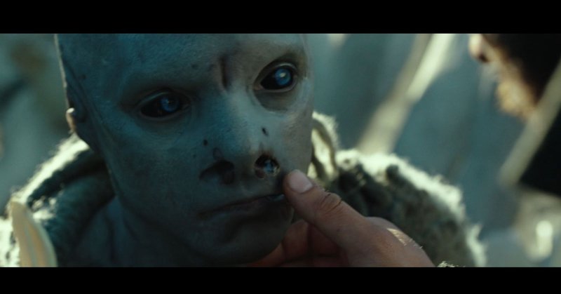 映画 コールド スキン shukua note