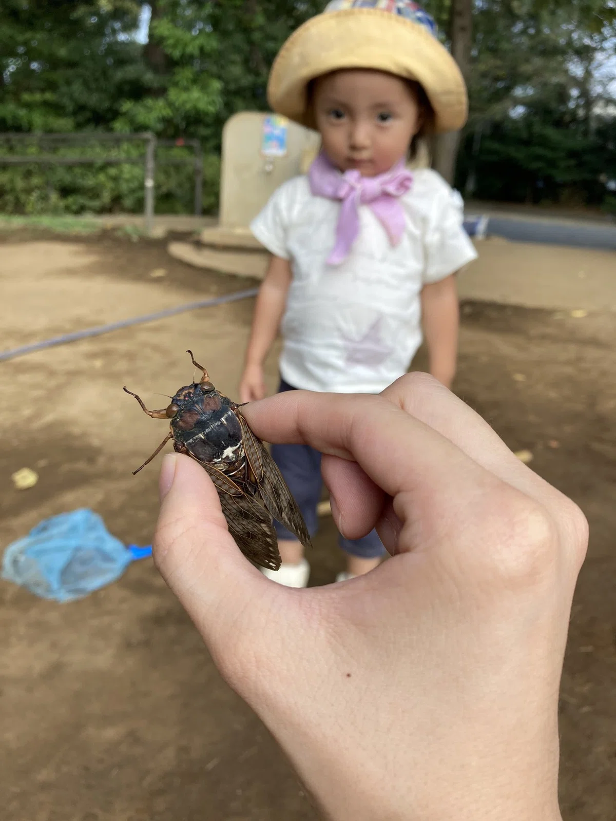 画像2