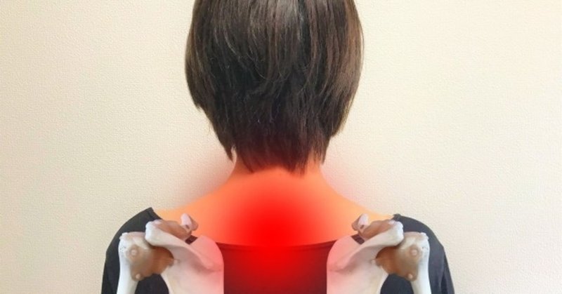 肩甲骨を寄せたら良い姿勢になる は不調の始まり 齊藤直行 いつまでもキレイに歩こうe Life Note