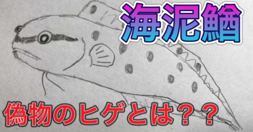 付け髭のある魚 そのヒゲはいったい 釣り 山阿呆の大学生 Note