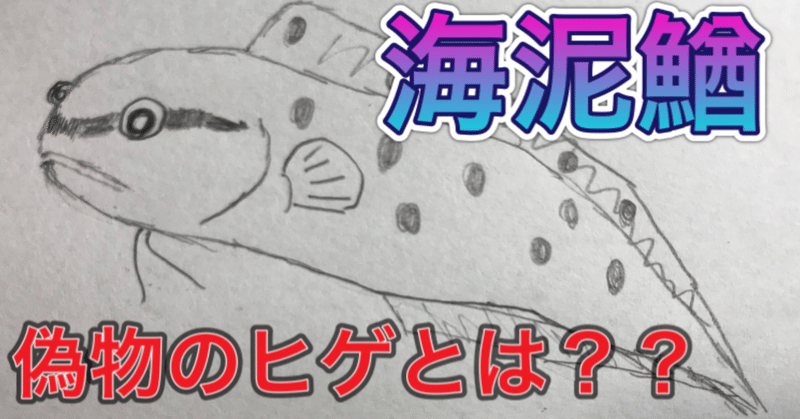 付け髭のある魚 そのヒゲはいったい 釣り 山阿呆の大学生 Note