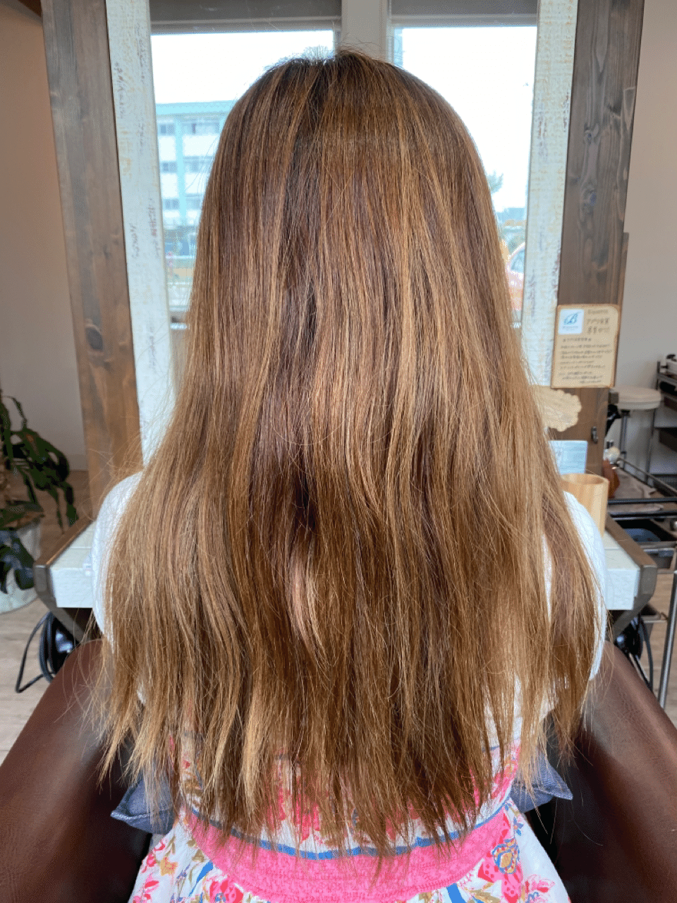 自粛という名の堕落 いきゆき Note