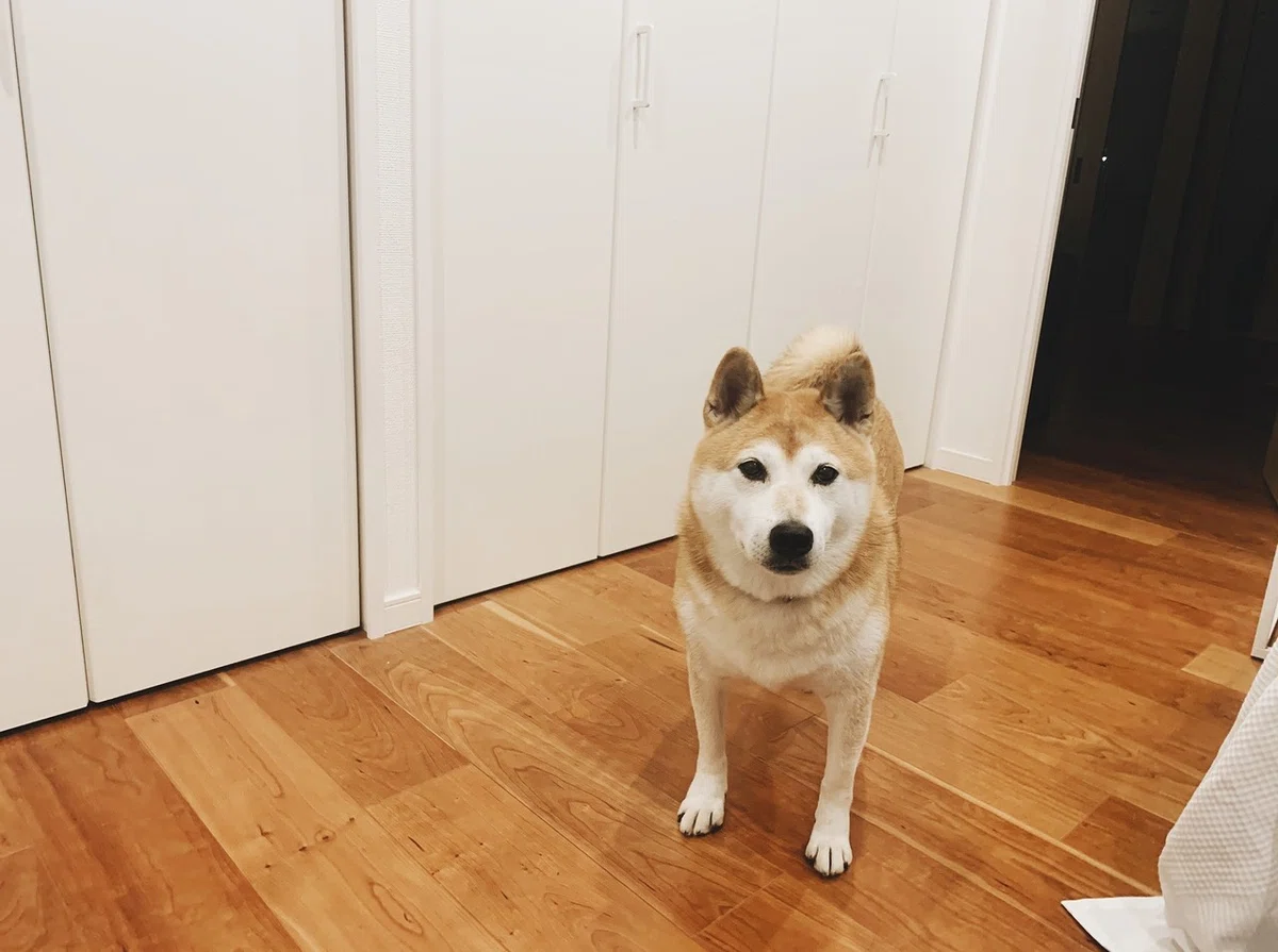 画像6