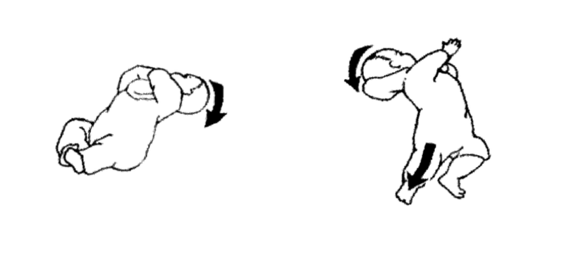 体軸内回旋動作を考える ママセラピストが考える発達過程と臨床の繋がりpart４ 脳外ブログ 臨床baton Note