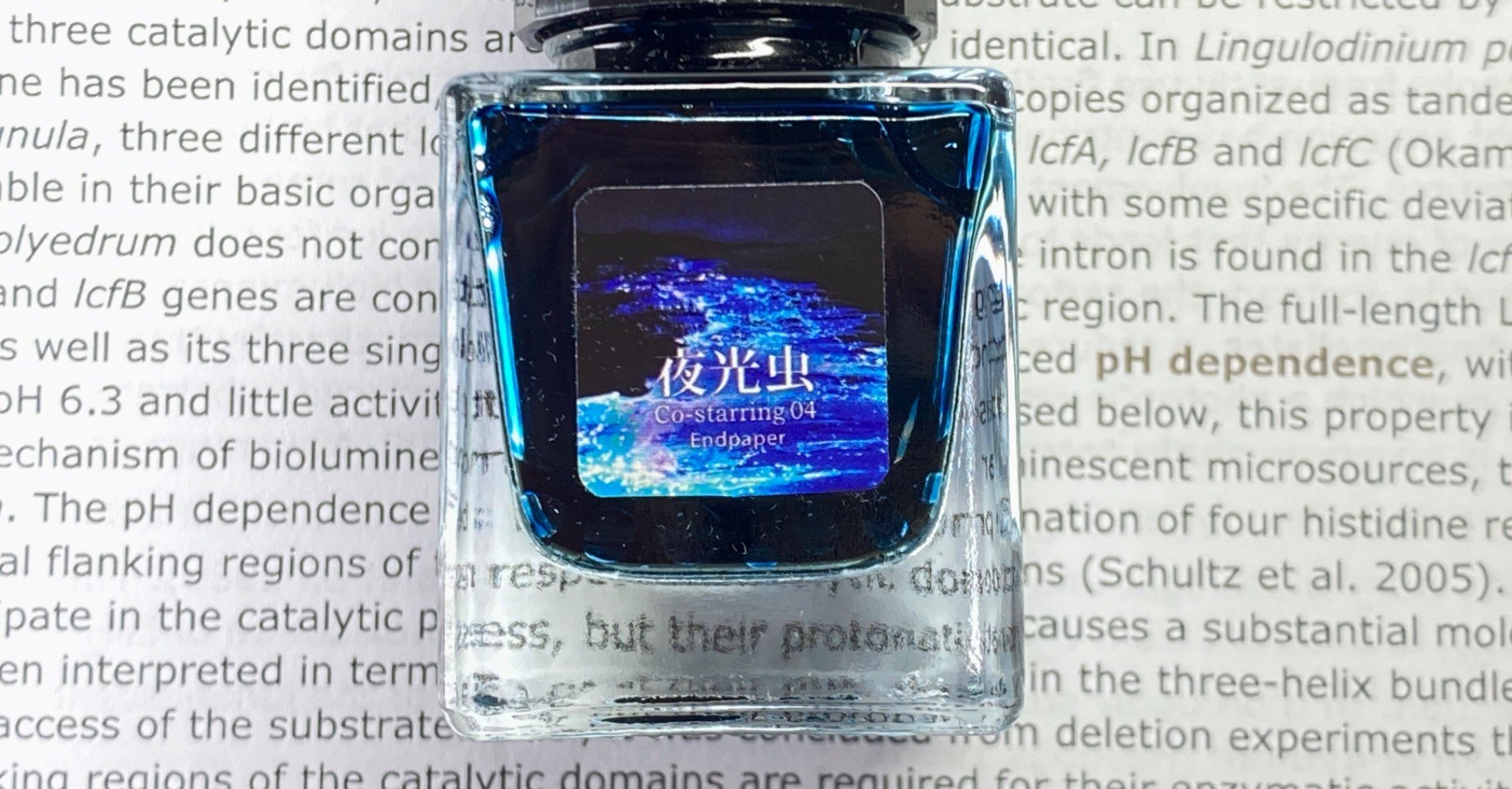 76c9dcff8af3da9d96031bc5bb04e9