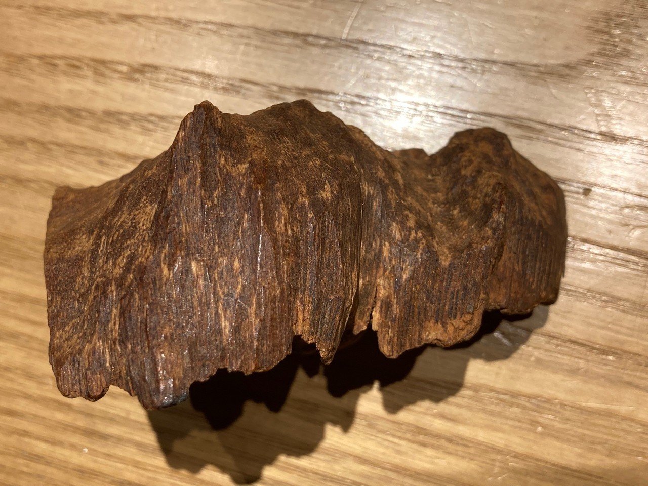 9月の推奨香木…「羅国らしい羅国」と「羅国らしくない羅国」｜山田眞裕