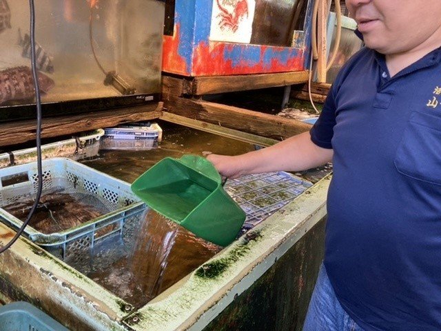 活魚専門店で発見 正体不明のモノ おさかなマイスター神谷 Note