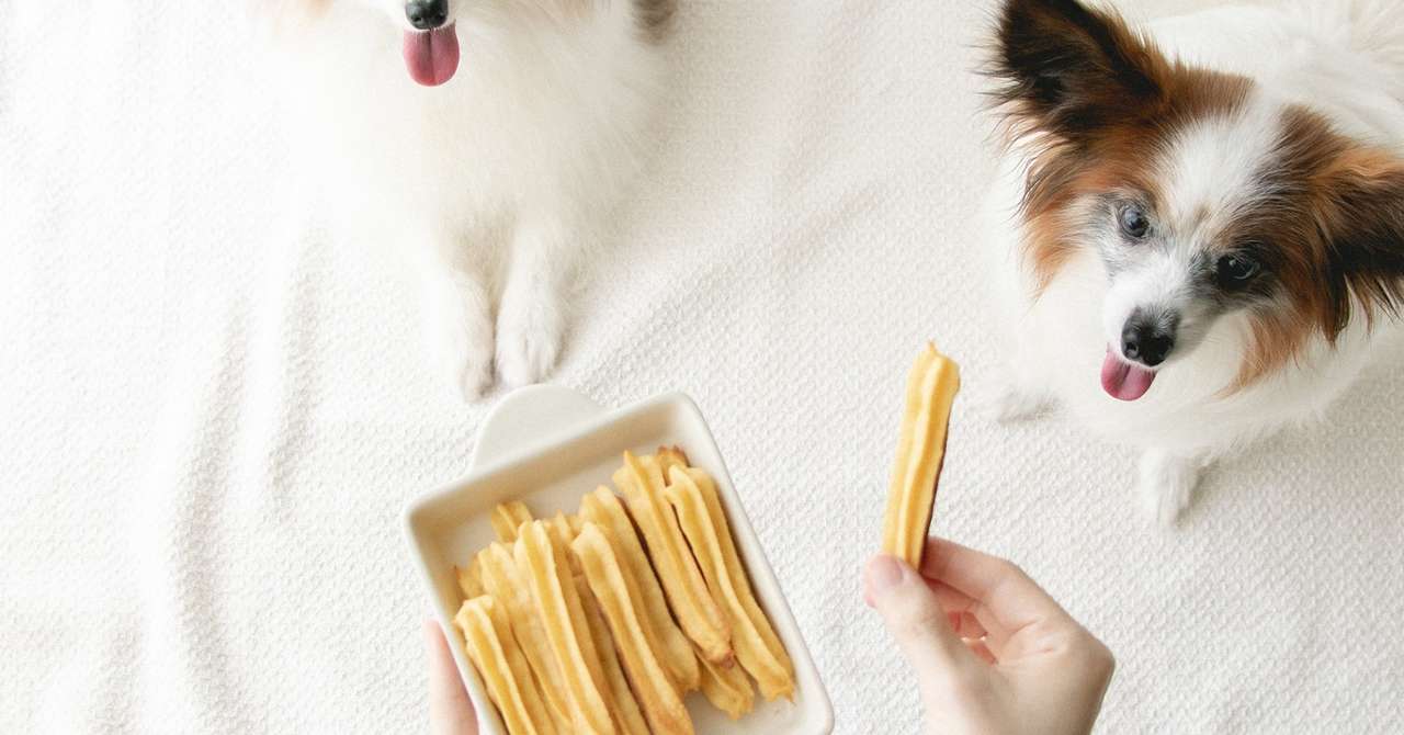 揚げずにオーブン調理 焼きミニチュロス 手作り犬おやつレシピ 犬ごはん先生いちかわあやこ Official Web Site 揚げずにオーブン調理 焼きミニチュロス 手作り犬おやつレシピ 犬ごはん先生いちかわあやこ Official Web Site
