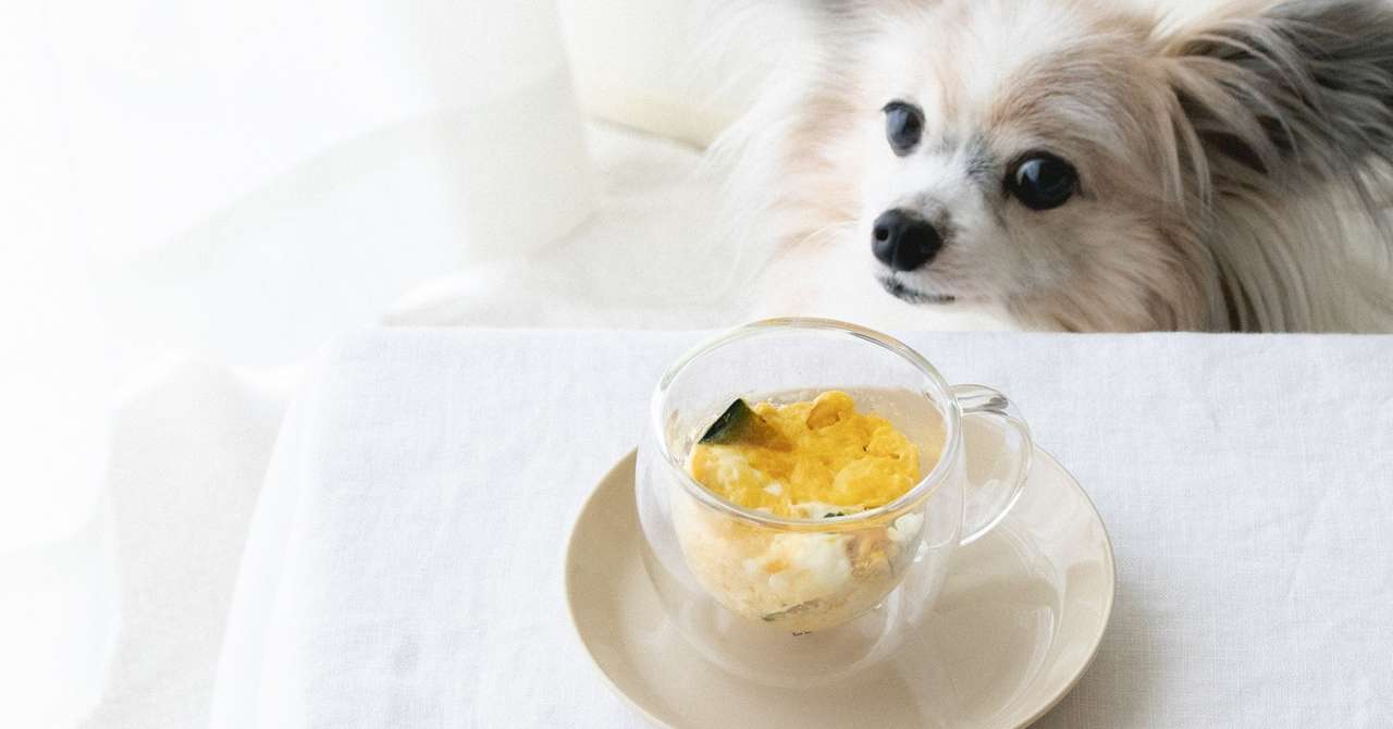 卵ひとつ マグカップで作れる犬のかぼちゃオムレツ 手作り犬おやつレシピ 犬ごはん先生 いちかわあやこ オフィシャルブログ Powered By Ameba