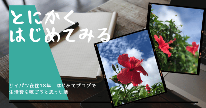 ハイビスカス 仏桑花に納得したはなし Sakura Marine の Akari Note ハイビスカス 仏桑花に納得したはなし Sakura Marine の Akari Note