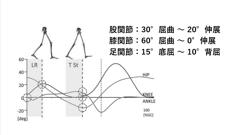 股関節がかたいと転倒しやすい やっさん 動作のバイオメカニクスと転倒予防 Note 股関節がかたいと転倒しやすい やっさん 動作のバイオメカニクスと転倒予防 Note