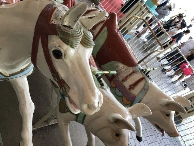 画像10