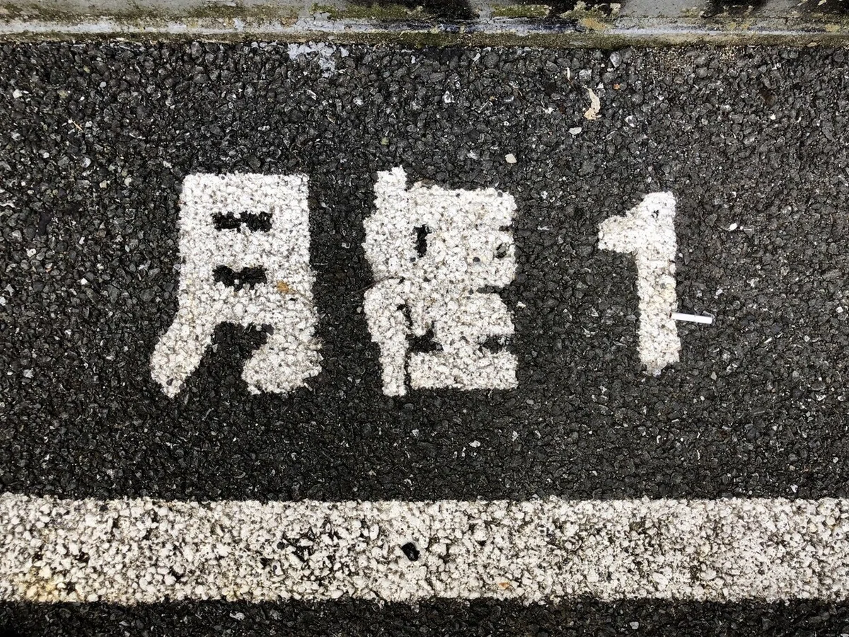 画像17