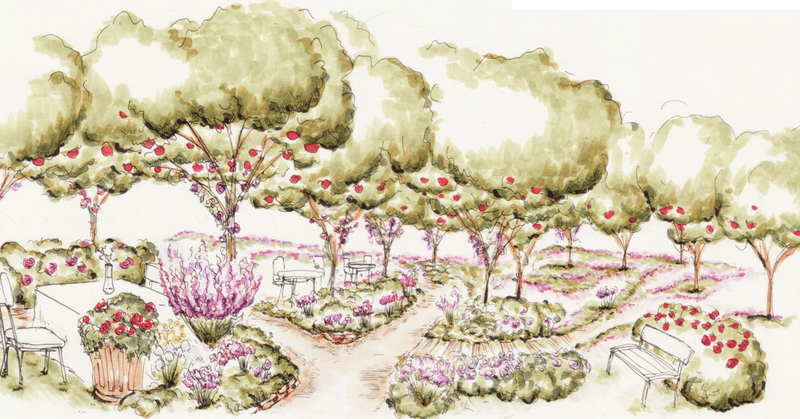 地方創生小説rosenburg イラスト 農庭園の観光 ランドスケープやガーデンデザイン ぽんず Note