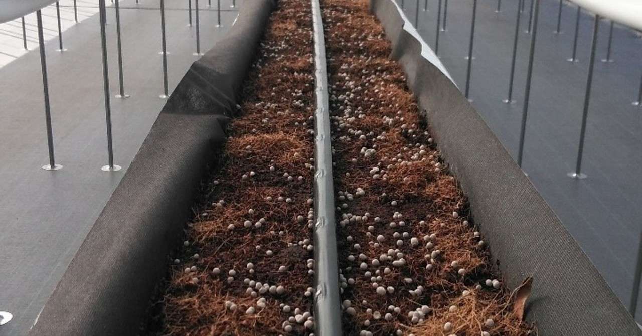 ベッドの土作り イチゴハウスフルーミング Note