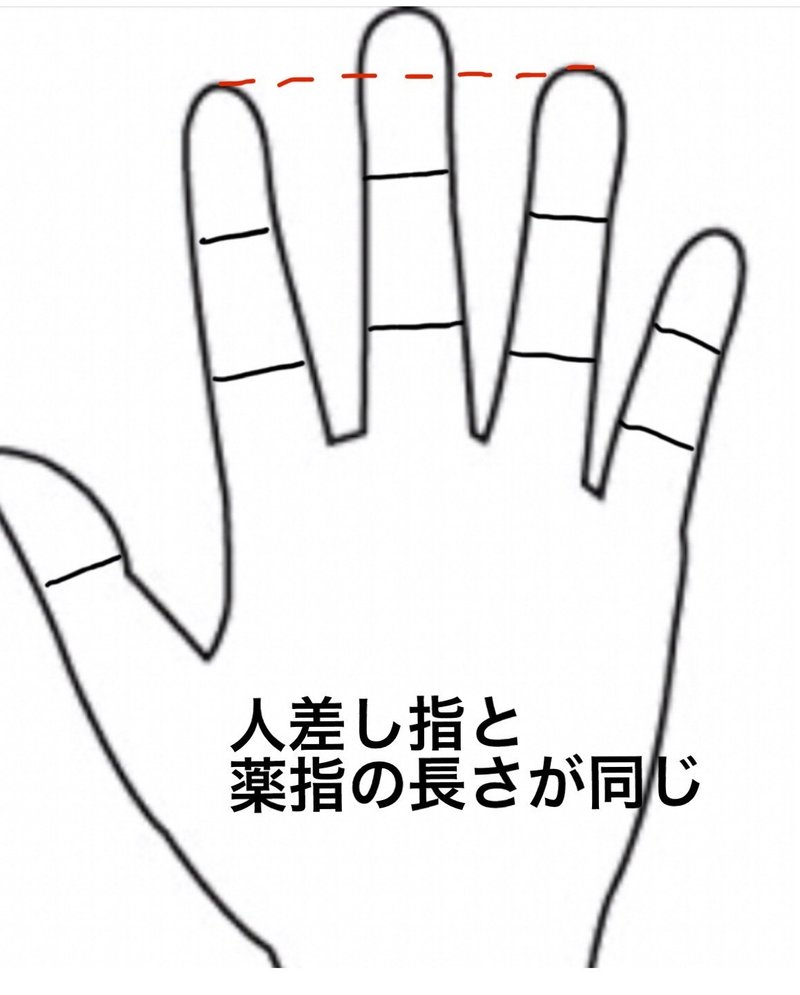 指の長さによる占い 人差し指編 おぎの陽子 キュウちゃん Note