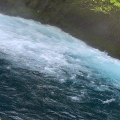 【レア】椎名林檎 パルファム カルバドス 香水 63ml レア】椎名林檎 パルファム カルバドス 63ml