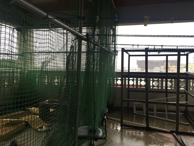 沖縄地方 台風でした ヒーローコーチ 未完成人 Note