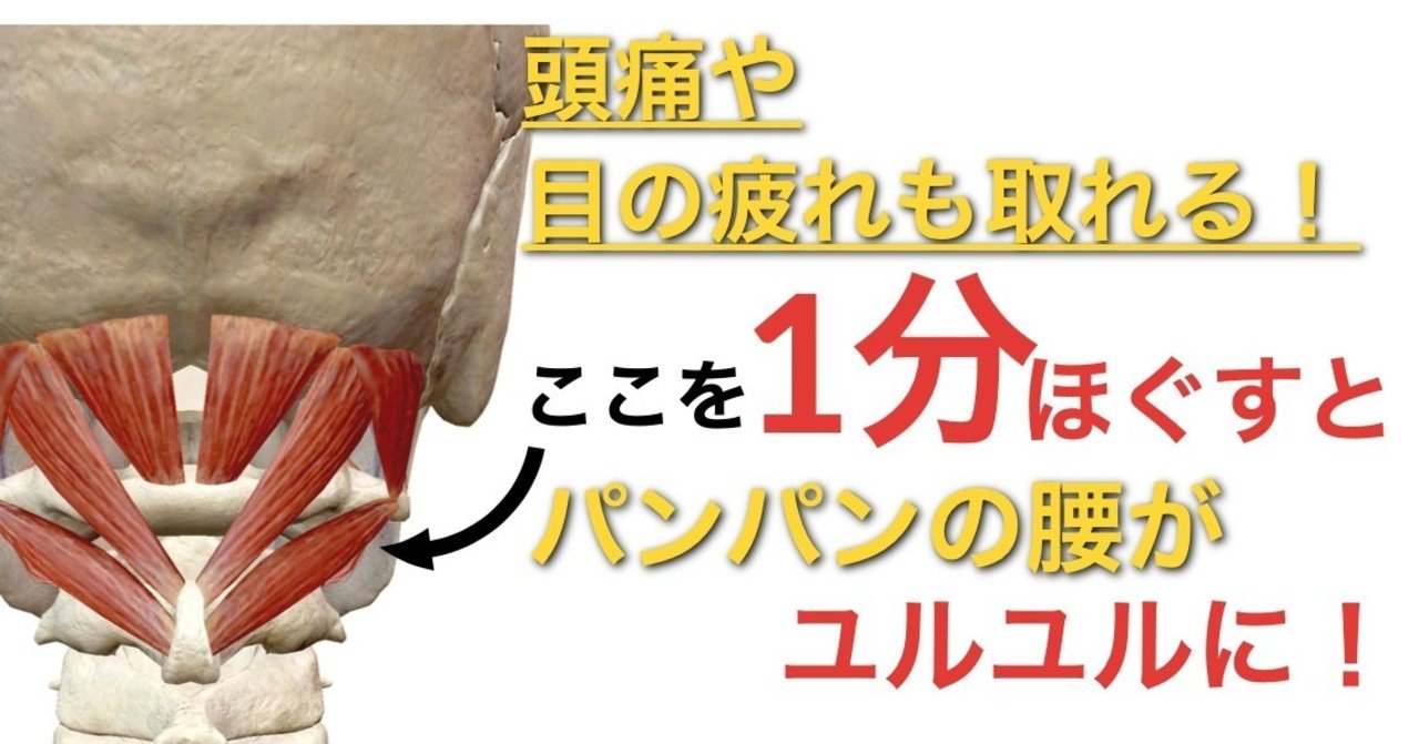腰痛ケア パンパンに張った腰がたった1分でユルユルに 効果抜群の筋 膜ケア 首すじ編 Vol 6 公式ブログ 腰痛専門施術院 リセット 長崎 Note
