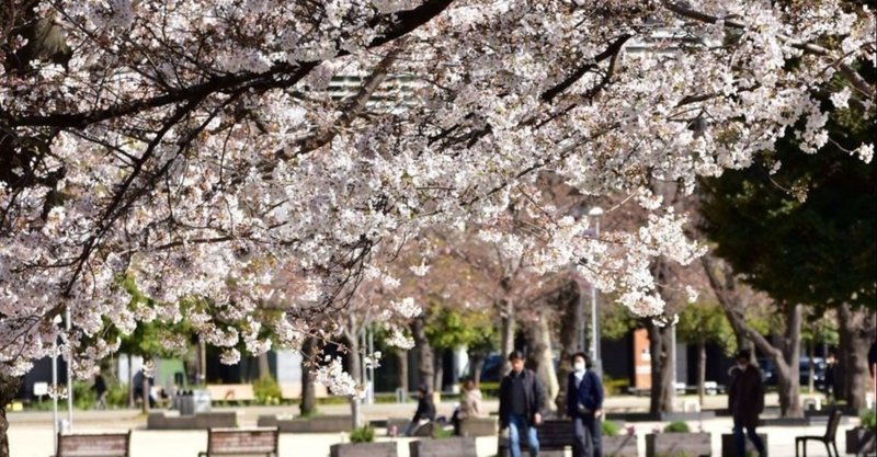 大学はなぜ学生に返金をしないのか obanote ミラリスト note