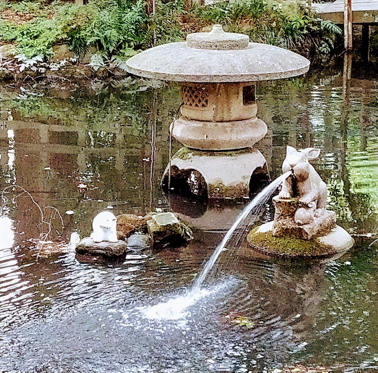 水を吐くウサギ Sansou Shiboku Note 水を吐くウサギ Sansou Shiboku Note