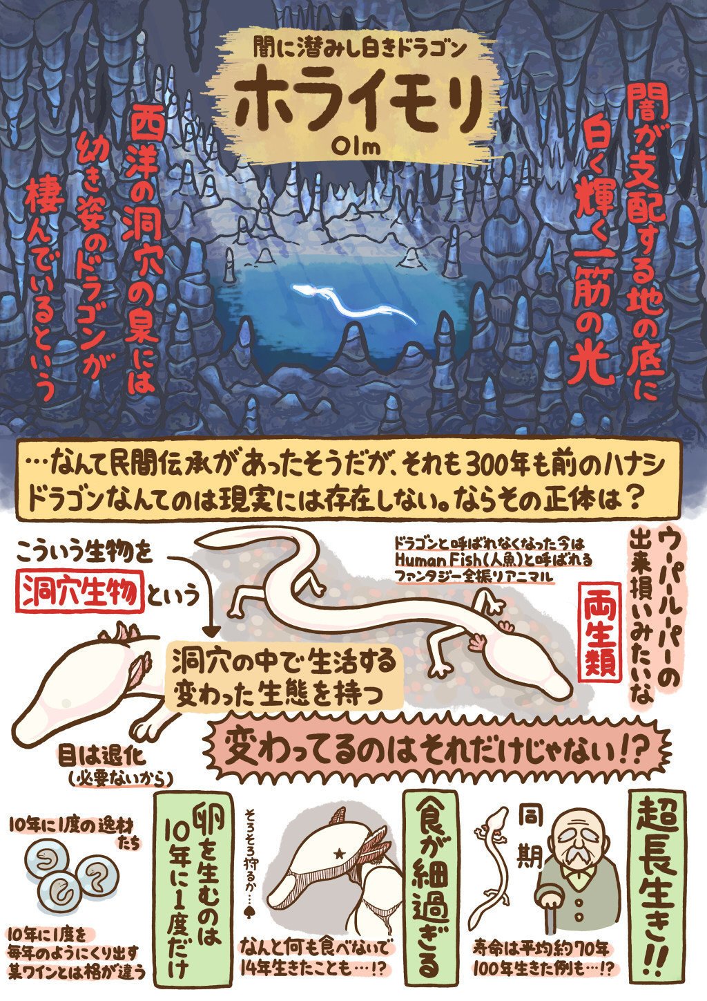 いきもの図鑑 イラスト 高橋のぞむ Note