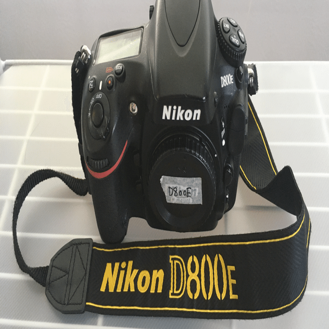 機材レビュー】Nikon D800E｜鷺